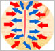 図3