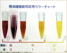 唾液の質の検査